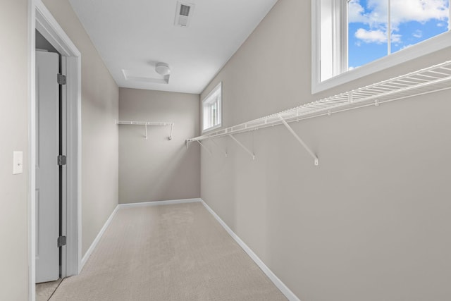 5370 Fountain Ln N, Plymouth, MN 55446 - spacious closet with carpet floors