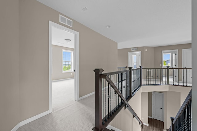 5390 Everest Ln N, Plymouth, MN 55446 - stairway featuring carpet floors
