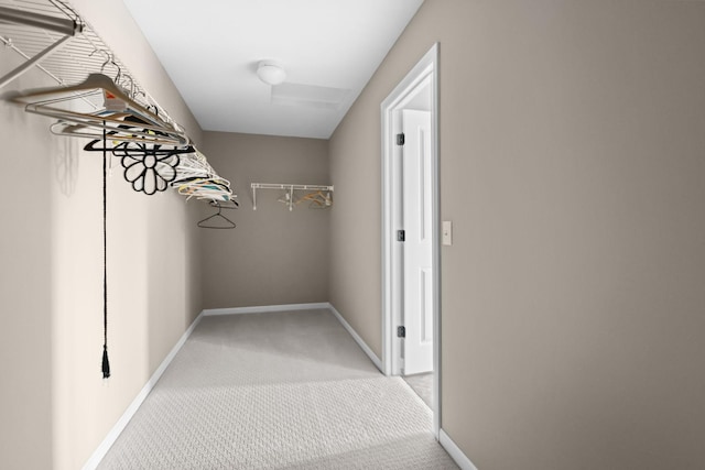 5390 Everest Ln N, Plymouth, MN 55446 - spacious closet with light carpet