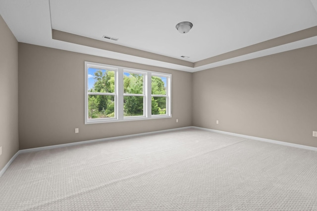 5390 Everest Ln N, Plymouth, MN 55446 - unfurnished room with carpet floors and a tray ceiling