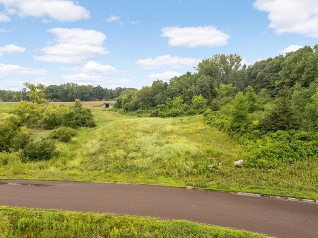 9952 Crescent Ln, Lakeville, MN 55044 - photo 1