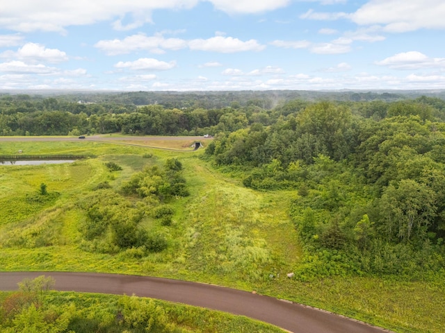 9952 Crescent Ln, Lakeville, MN 55044 - photo 2