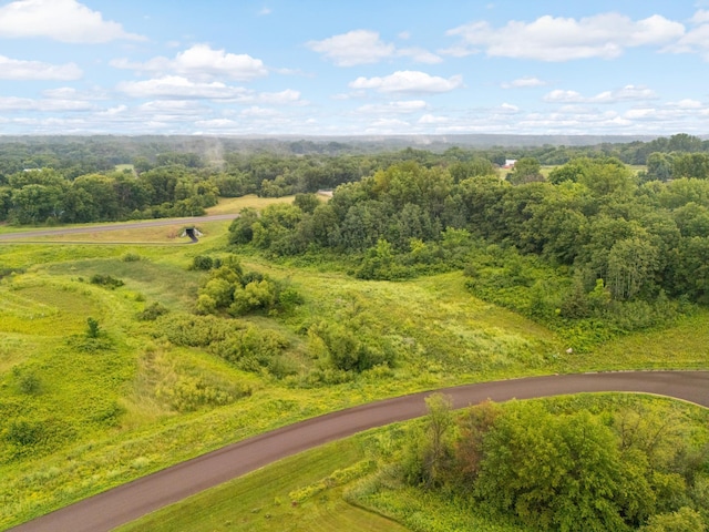 9952 Crescent Ln, Lakeville, MN 55044 - photo 3