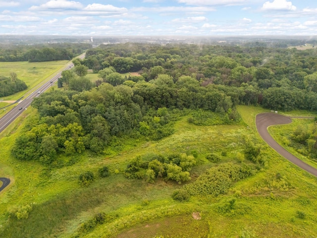 9952 Crescent Ln, Lakeville, MN 55044 - photo 8