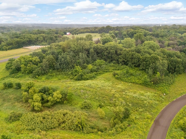 9952 Crescent Ln, Lakeville, MN 55044 - photo 9
