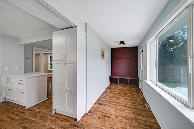 4416 46th Ave S, Minneapolis, MN 55406 - hall with dark wood-style flooring and baseboards