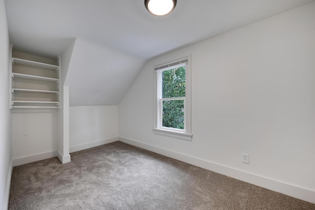 4416 46th Ave S, Minneapolis, MN 55406 - bonus room with carpet floors and vaulted ceiling