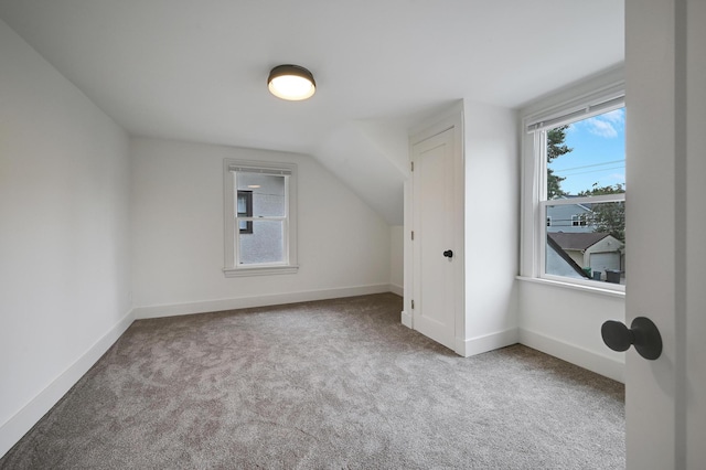 4416 46th Ave S, Minneapolis, MN 55406 - bonus room featuring carpet flooring and lofted ceiling