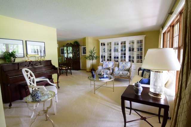 15620 45th Ave N, Plymouth, MN 55446 - view of carpeted living area