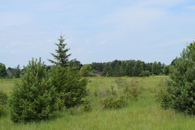 1773 Foley Ave NW, Chatham Twp, MN 55358 - photo 57