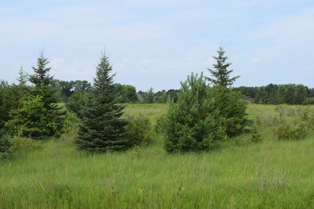 1773 Foley Ave NW, Chatham Twp, MN 55358 - photo 58
