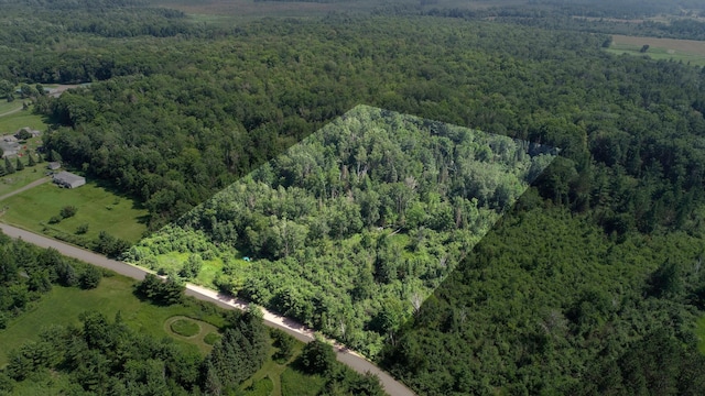 TBD Appaloosa Pass, Finlayson, MN 55735 - photo 3