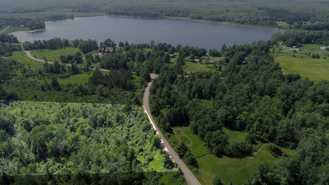 TBD Appaloosa Pass, Finlayson, MN 55735 - photo 4