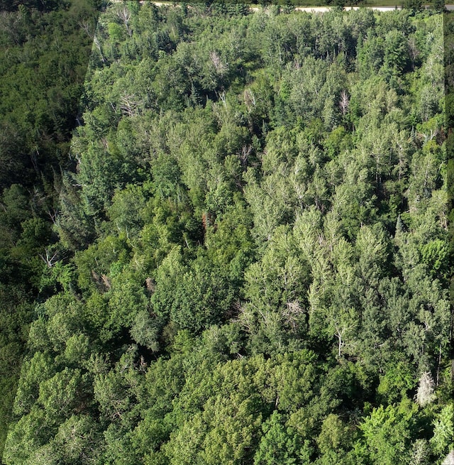 TBD Appaloosa Pass, Finlayson, MN 55735 - photo 17