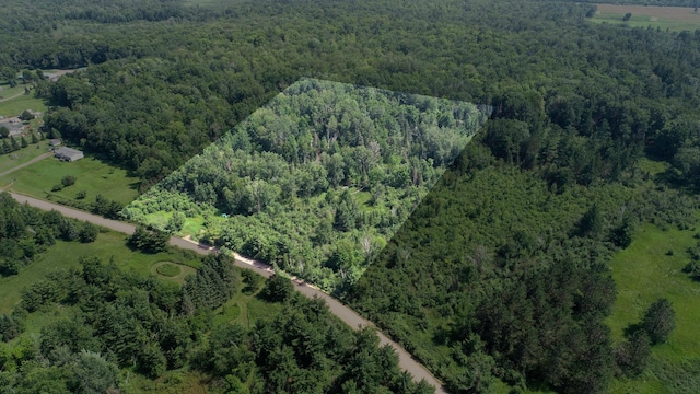 TBD Appaloosa Pass, Finlayson, MN 55735 - photo 19