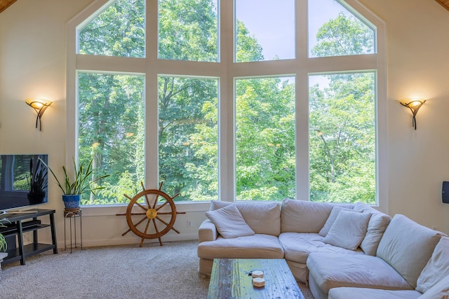 5108 Drummond Rd, Mound, MN 55364 - living room featuring healthy amount of natural light and carpet flooring