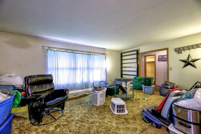 119 Regency Rd, Le Sueur, MN 56058 - photo 9