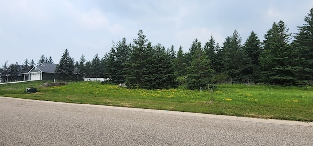 LOT4 White Spruce Ln NW, Alexandria, MN 56308 - photo 2