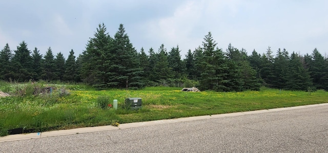 LOT4 White Spruce Ln NW, Alexandria, MN 56308 - photo 1
