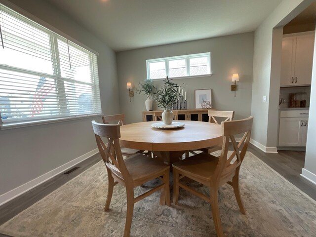17131 Doppler Ln, Lakeville, MN 55044 - photo 24