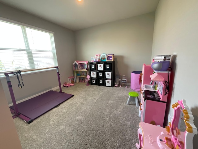 17131 Doppler Ln, Lakeville, MN 55044 - photo 49