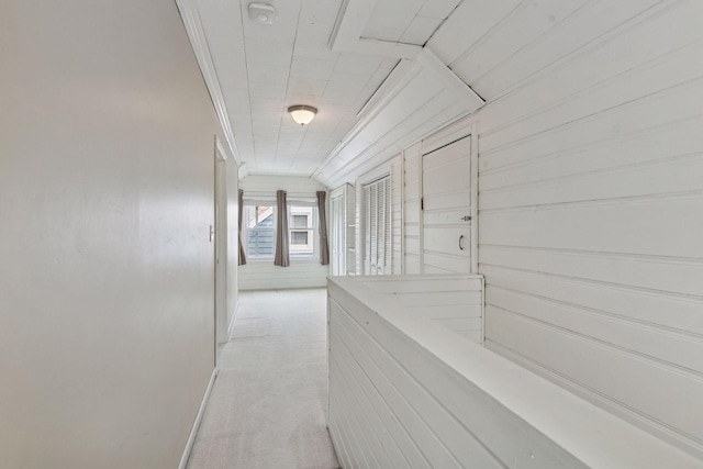 3137 Hampshire Ave S, Saint Louis Park, MN 55426 - corridor featuring light colored carpet and baseboards
