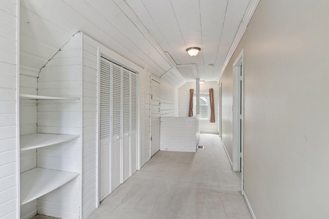 3137 Hampshire Ave S, Saint Louis Park, MN 55426 - hallway featuring carpet floors