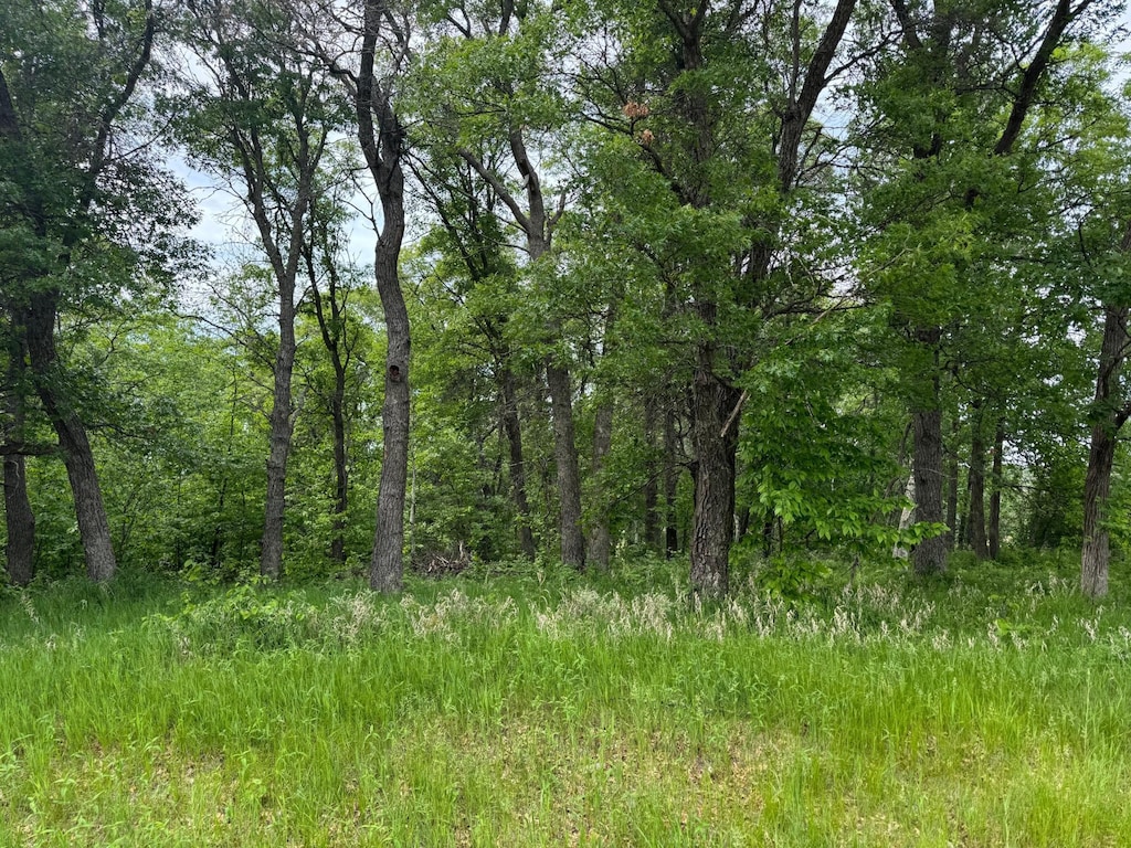 TBD Pawnee, Breezy Point, MN 56472