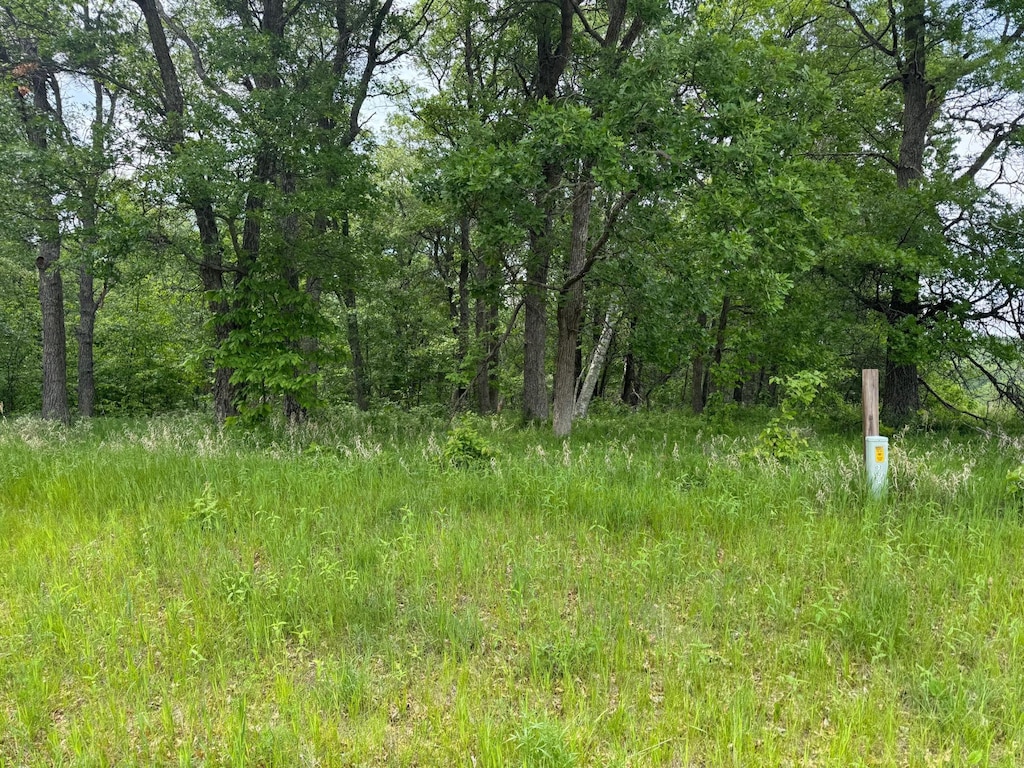 TBD Pawnee, Breezy Point, MN 56472
