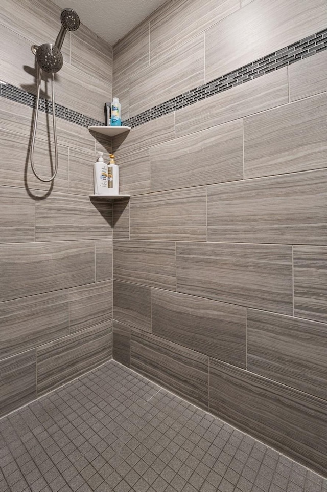 24000 Helium Ct, Forest Lake, MN 55025 - full bath with tiled shower