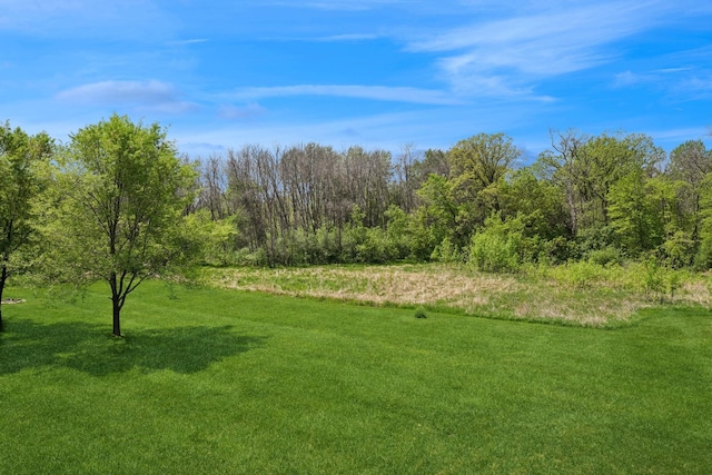 24000 Helium Ct, Forest Lake, MN 55025 - view of green lawn
