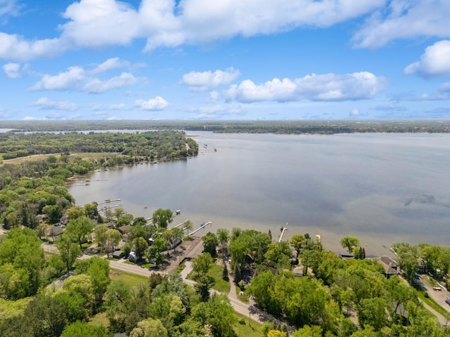 24000 Helium Ct, Forest Lake, MN 55025 - drone / aerial view of a large body of water