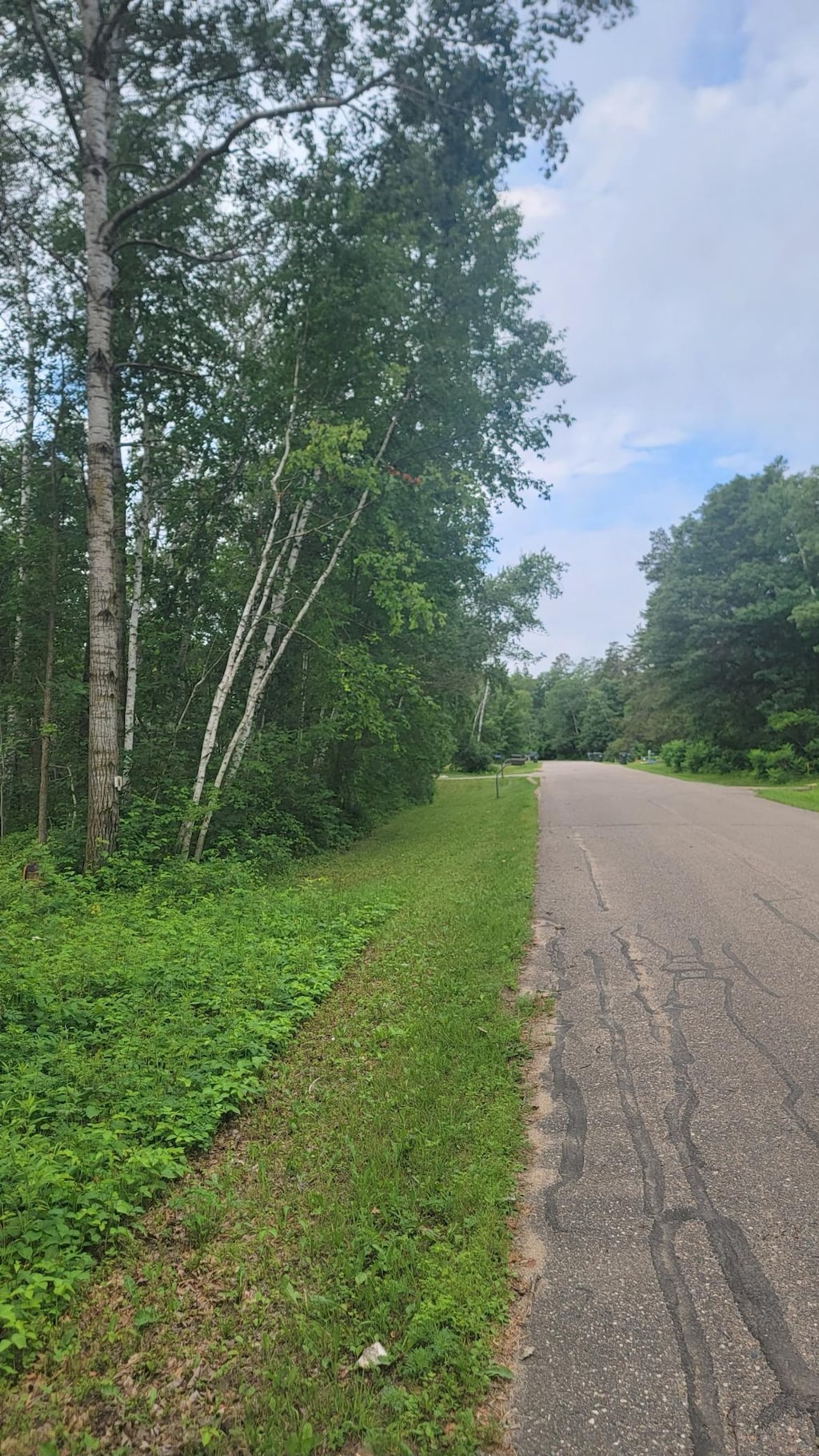 4246 Crow Wing Cir SW, Sylvan Twp, MN 56473