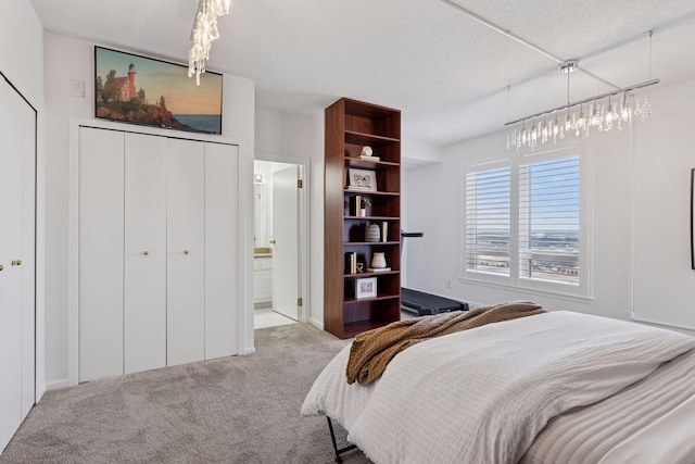 168 6th St E Unit 3004, Saint Paul, MN 55101 - bedroom featuring carpet floors and ensuite bath