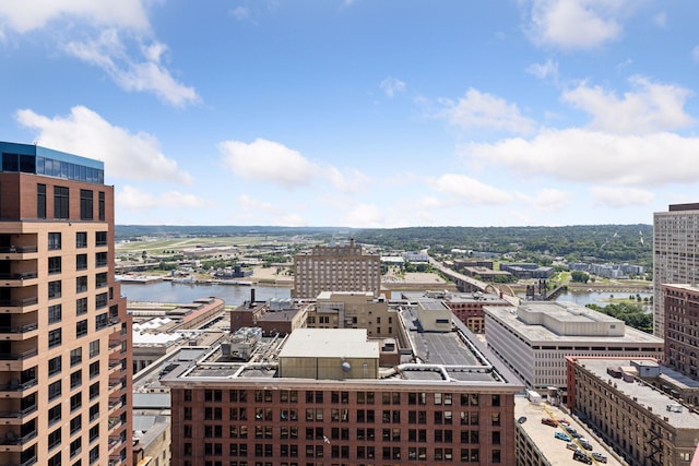 168 6th St E Unit 3004, Saint Paul, MN 55101 - city view with a nearby body of water