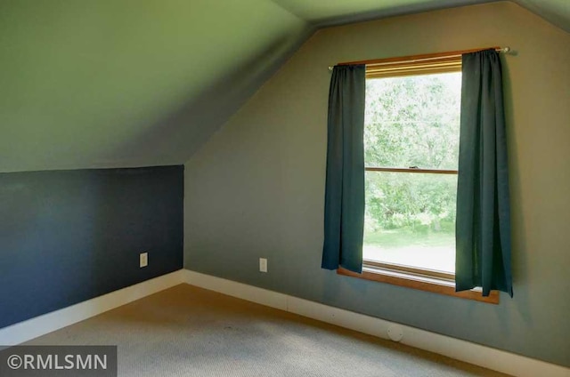 1217 83rd Ave, Lincoln Twp, WI 54001 - bonus room featuring lofted ceiling, plenty of natural light, and carpet