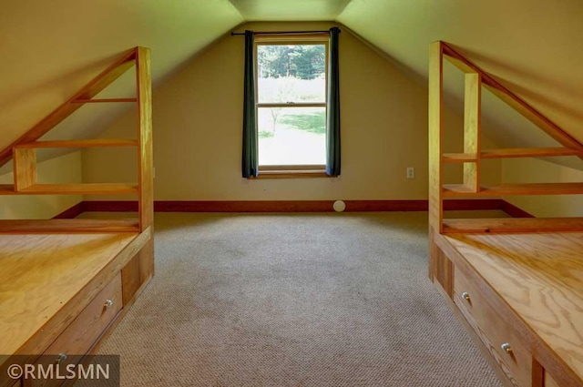1217 83rd Ave, Lincoln Twp, WI 54001 - additional living space with carpet floors and vaulted ceiling