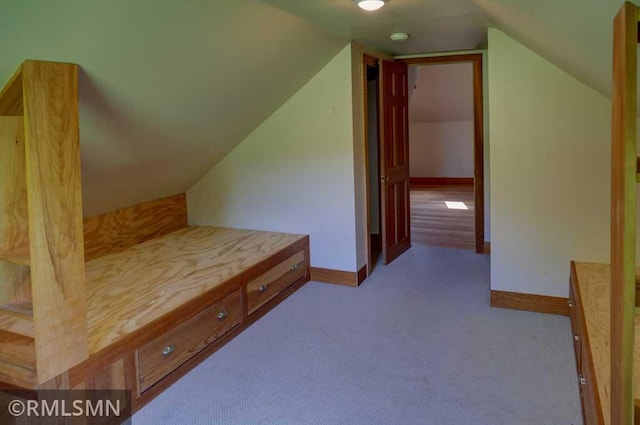 1217 83rd Ave, Lincoln Twp, WI 54001 - additional living space with lofted ceiling and carpet flooring