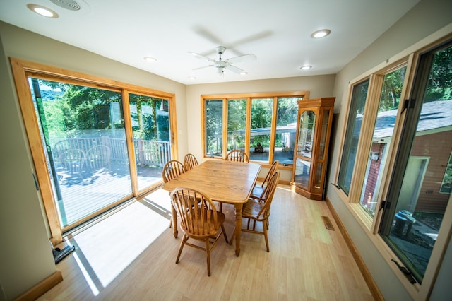 24425 County Road 17, Winona, MN 55987 - photo 11