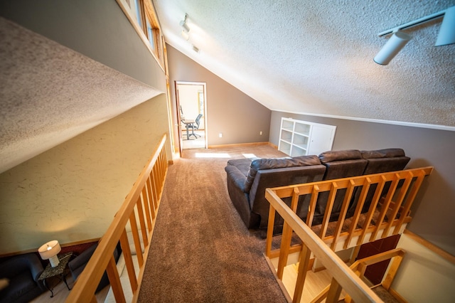 24425 County Road 17, Winona, MN 55987 - photo 22