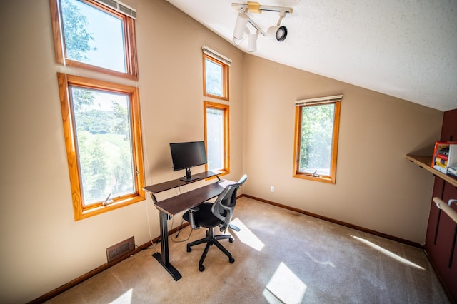 24425 County Road 17, Winona, MN 55987 - photo 31