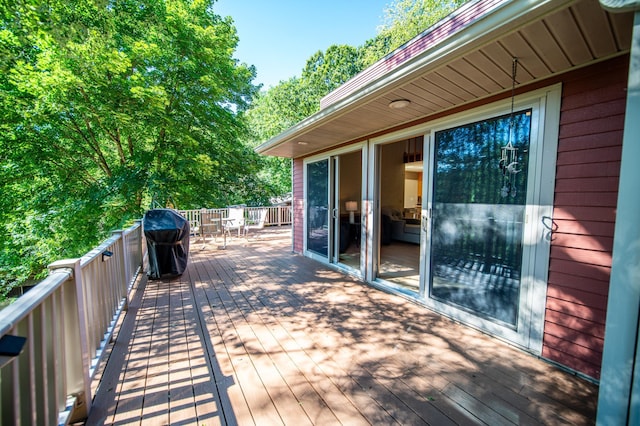 24425 County Road 17, Winona, MN 55987 - photo 33