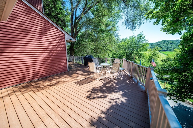 24425 County Road 17, Winona, MN 55987 - photo 35