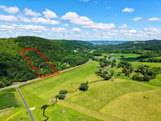 24425 County Road 17, Winona, MN 55987 - photo 52