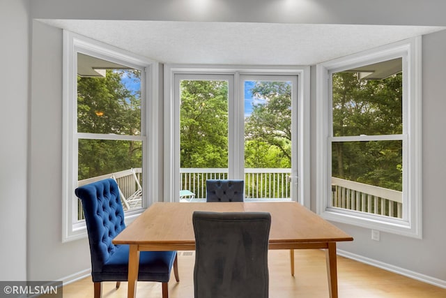 13840 Edenwood Way, Apple Valley, MN 55124 - view of sunroom