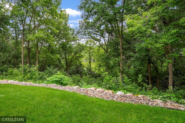 13840 Edenwood Way, Apple Valley, MN 55124 - view of yard featuring a wooded view