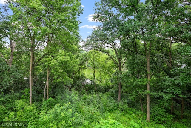 13840 Edenwood Way, Apple Valley, MN 55124 - view of woods