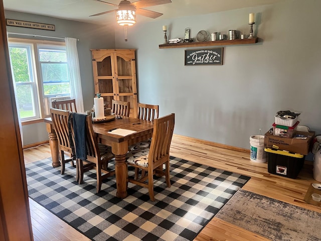 1668 150th Ave, Welcome, MN 56181 - photo 11
