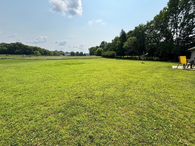 420 Medayto Dr, Spicer, MN 56288 - photo 5