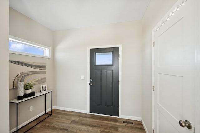 757 Greywood Blvd SW, Delano, MN 55328 - entrance foyer featuring plenty of natural light and dark wood-style floors